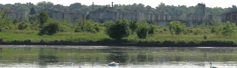 The Urban River Corridors of Bucharest